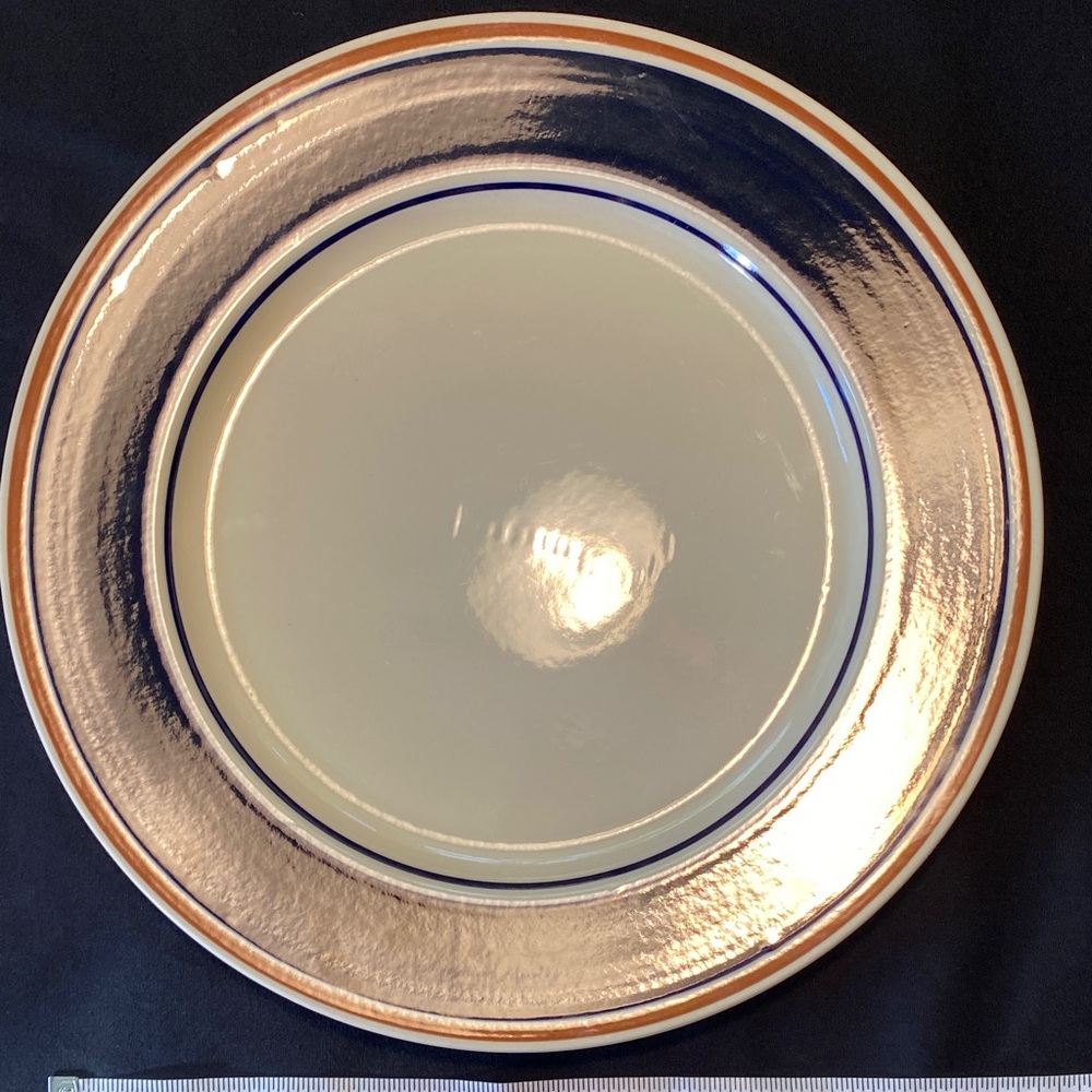 Newcor stoneware Regency dinner plate